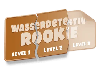 Level 2/3