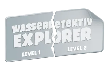 Explorer Level 2