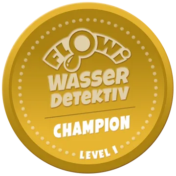 Level 1/1